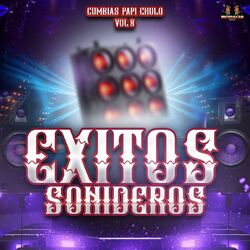 Cover of Cumbias Papi Chulo Vol. 8