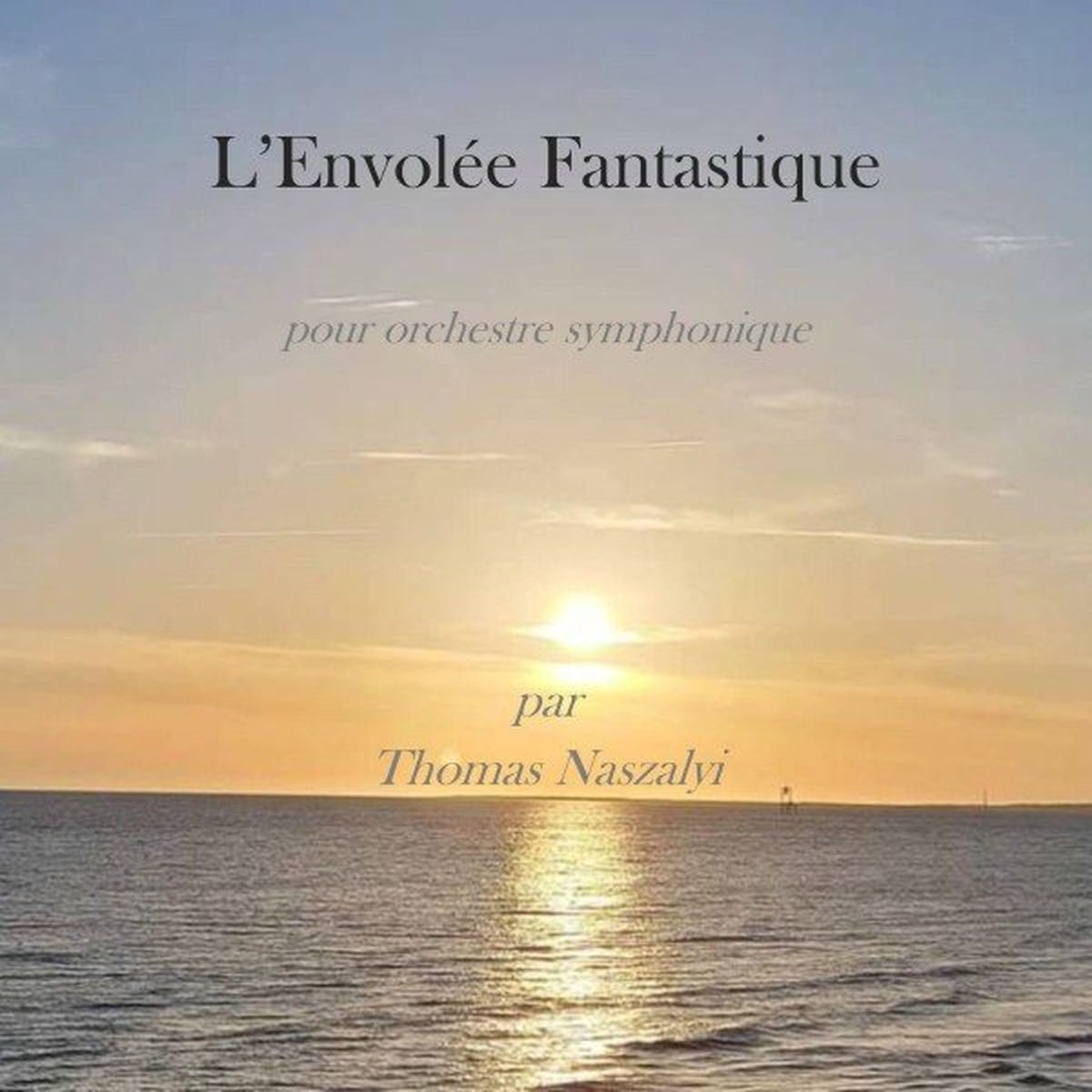 Album cover of L'envolée Fantastique