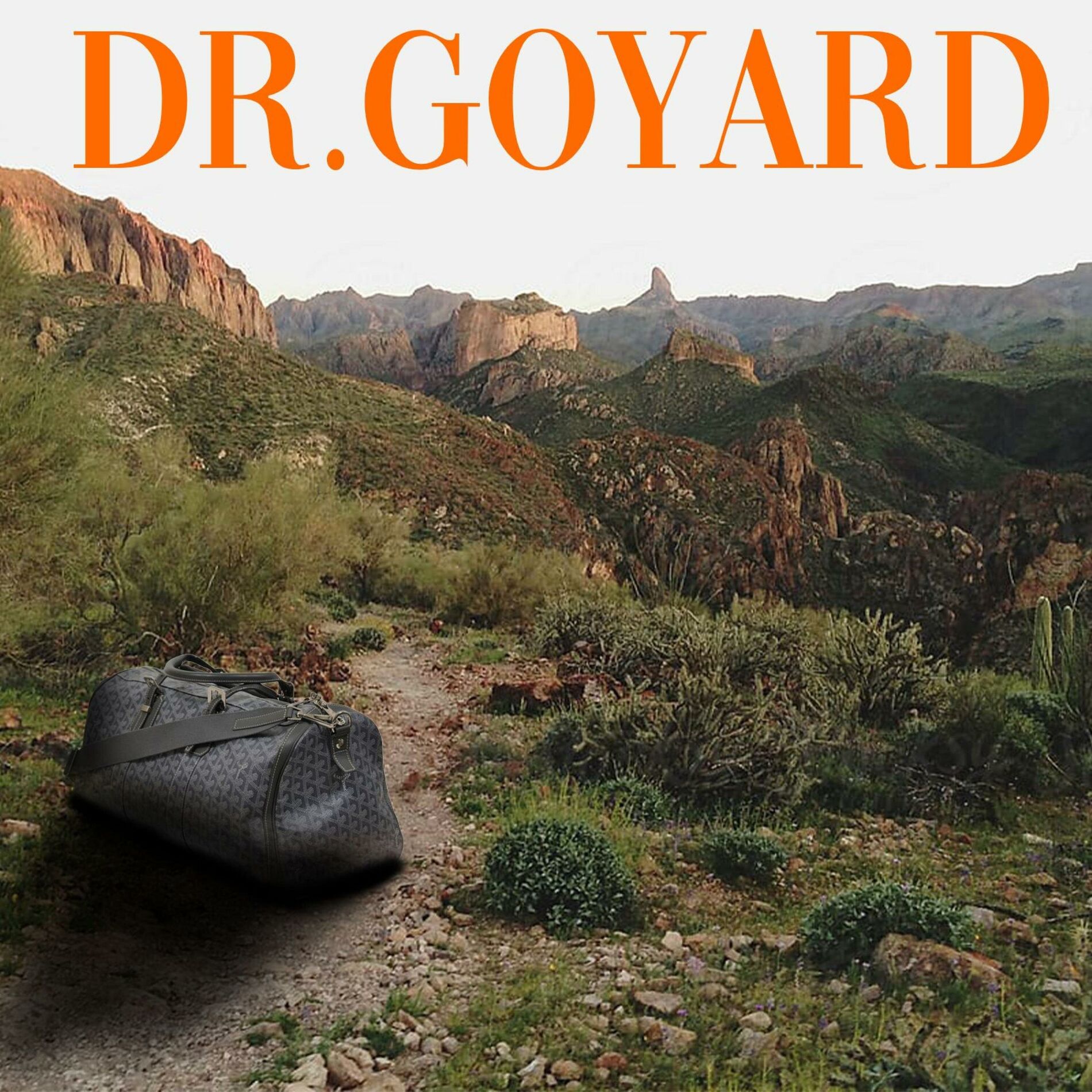 Album cover of Dr. GoYard (feat. madben)