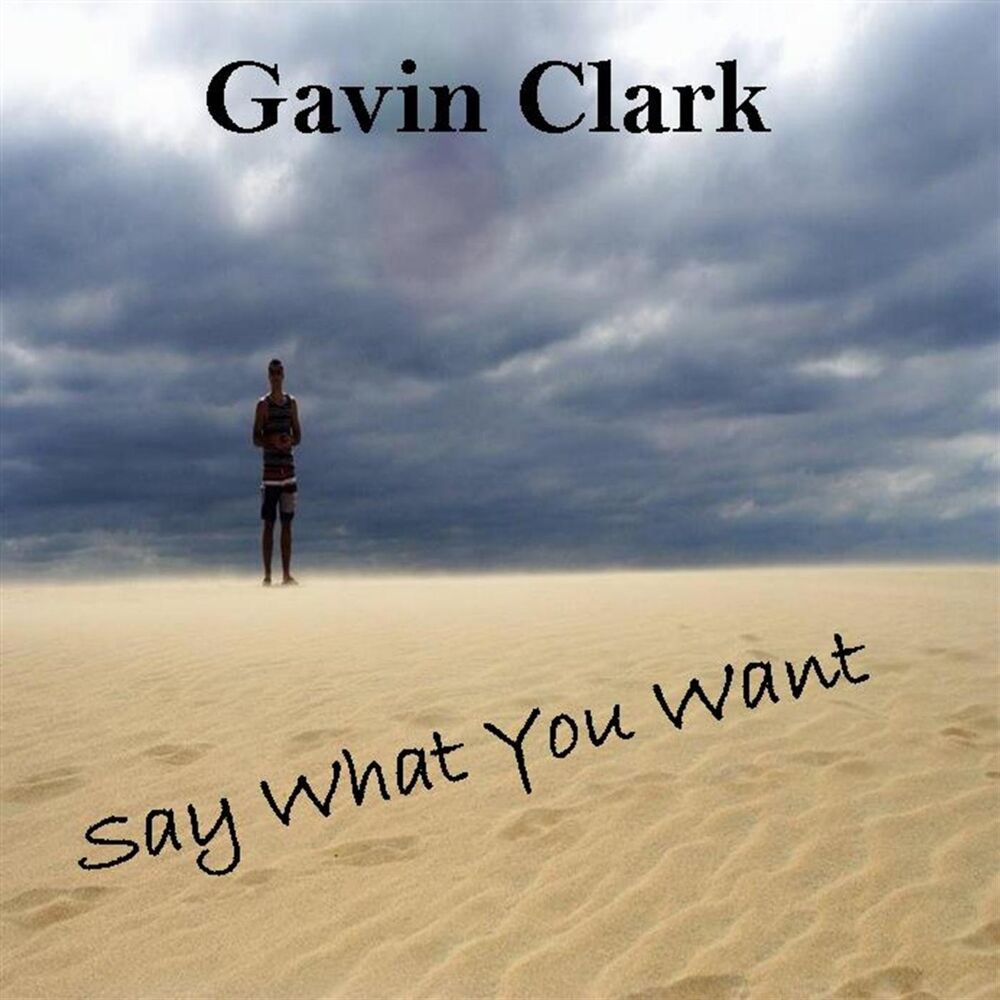 Picture of Say What You Want