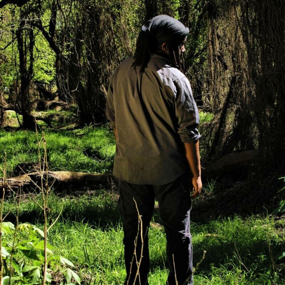 Picture of Everglade