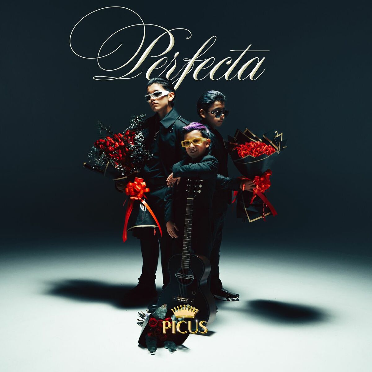 Album cover of Perfecta