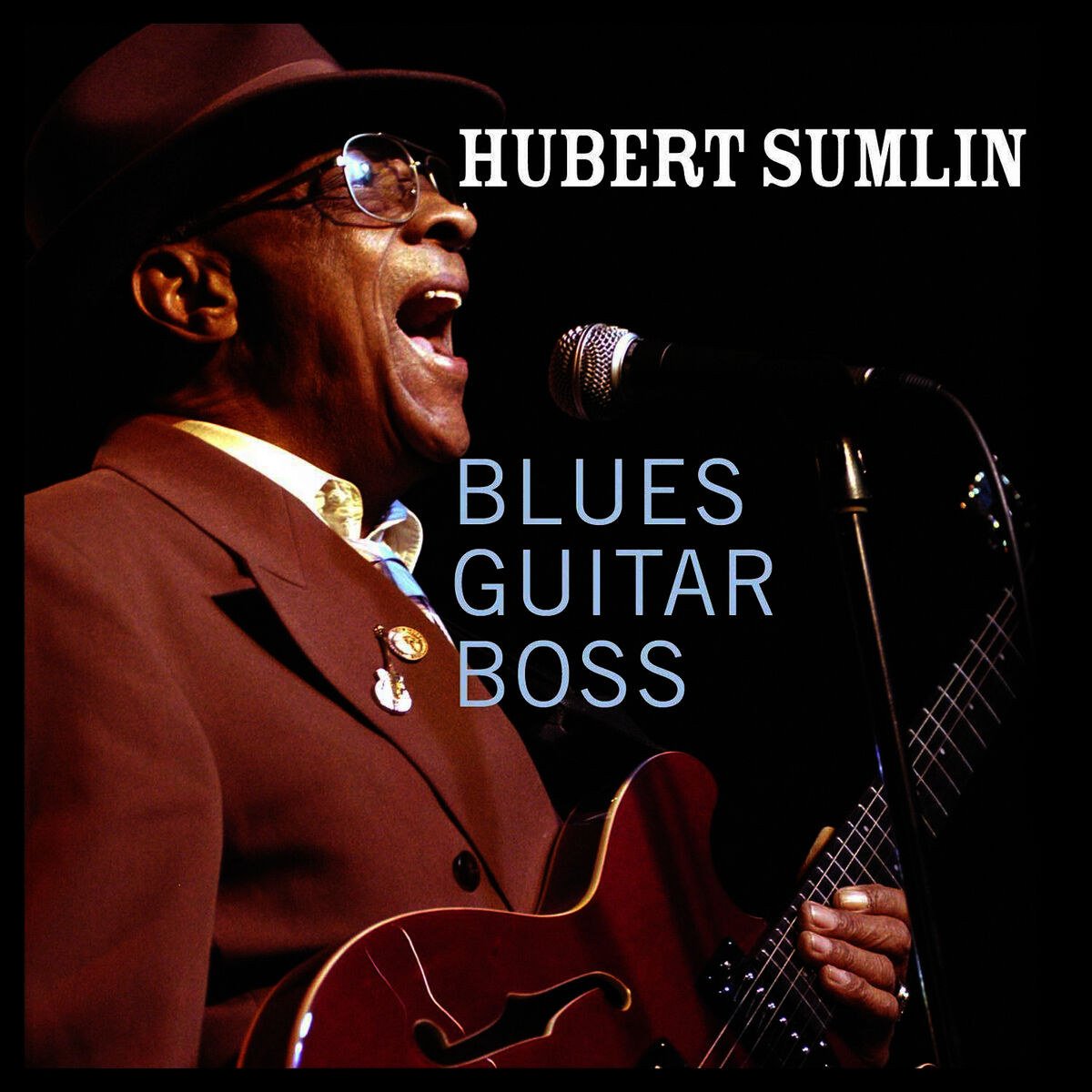 Album cover of Blues Guitar Boss