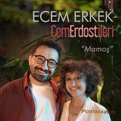 Cover of PortakalAltı Kayıtları: Mamoş