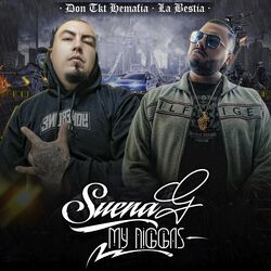 Cover of Suena G My Niggas