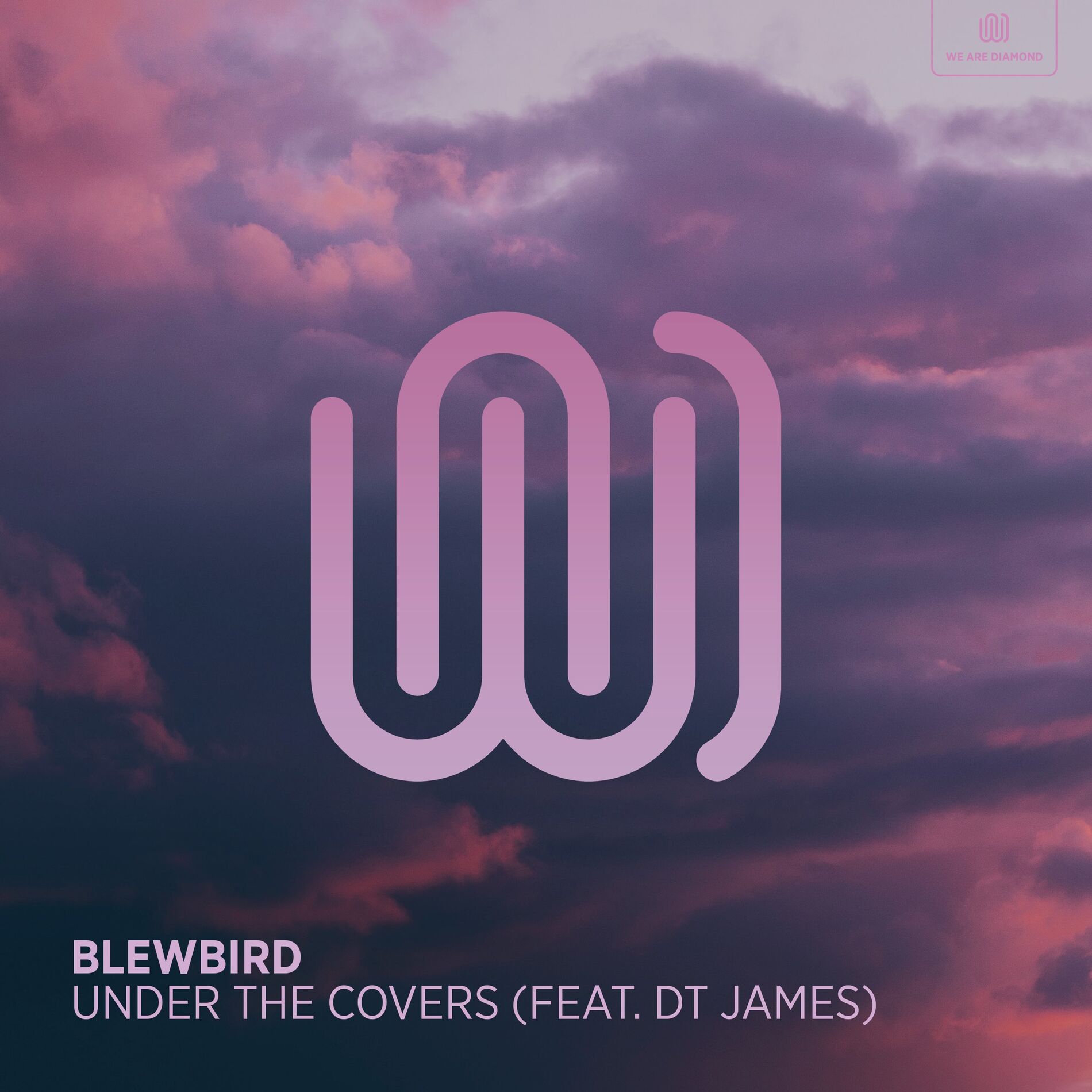 Album cover of Under the Covers