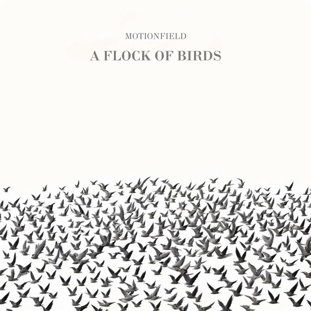 Picture of A Flock Of Birds