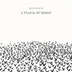 Cover of A Flock Of Birds