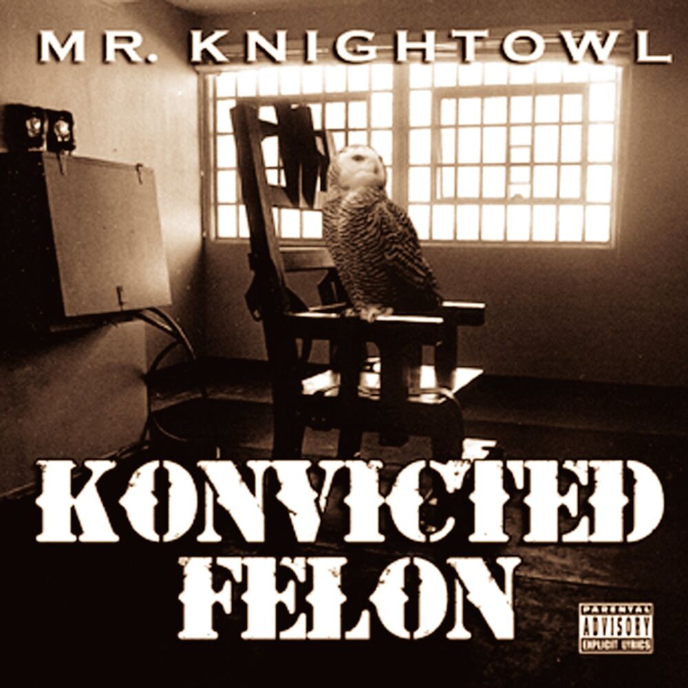 Picture of Konvicted Felon