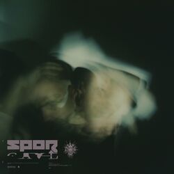 Cover of Cave