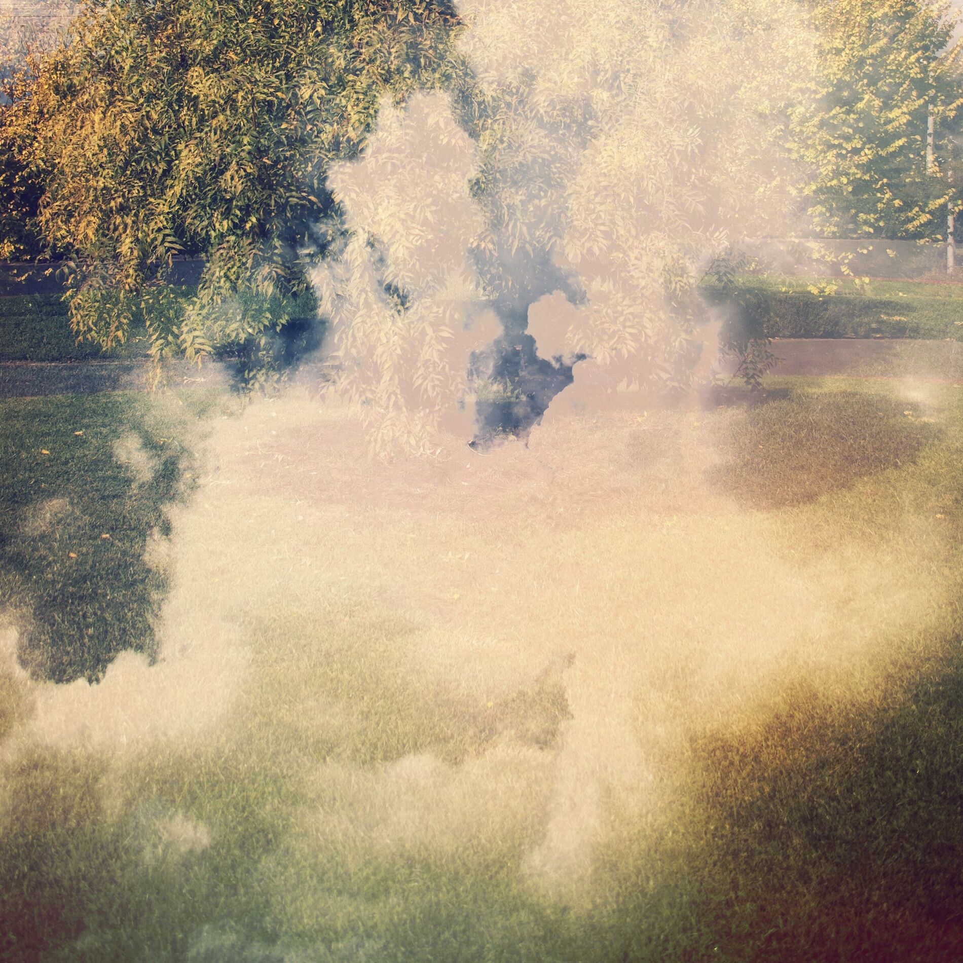 Album cover of American Summer