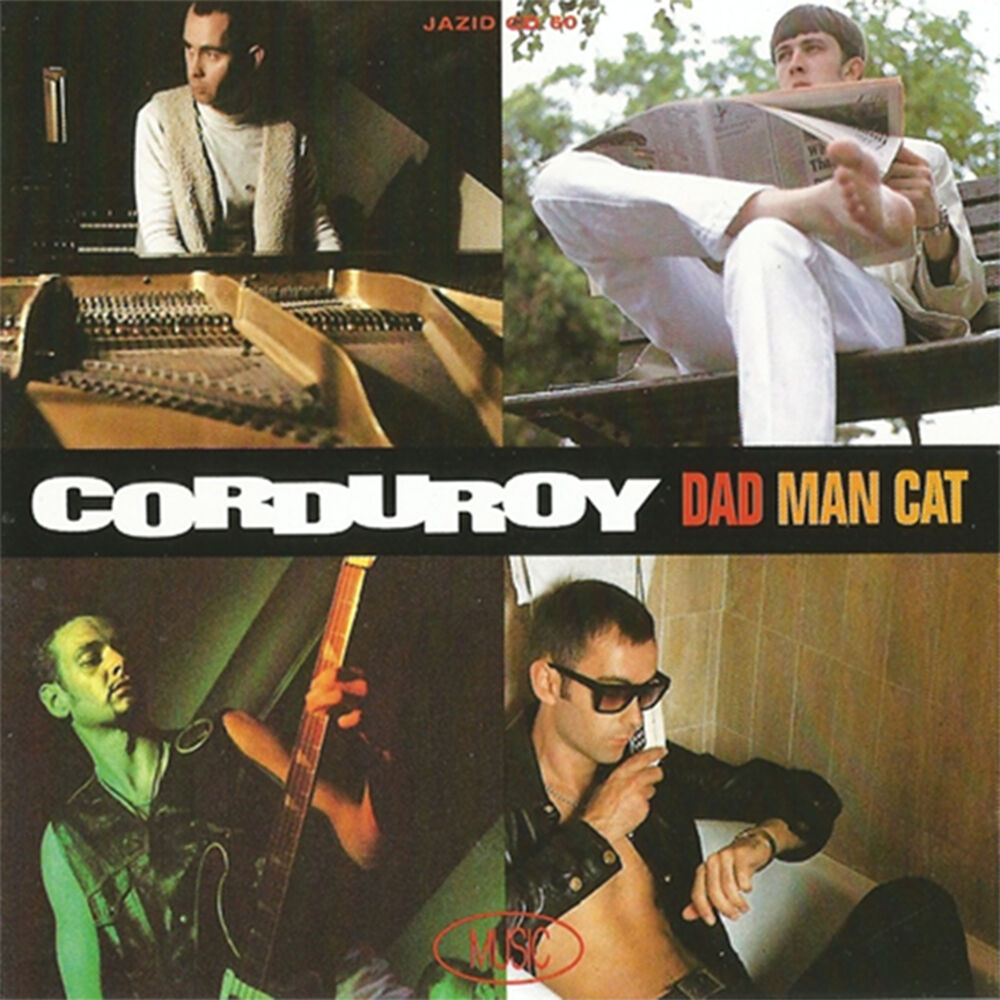 Picture of Dad Man Cat