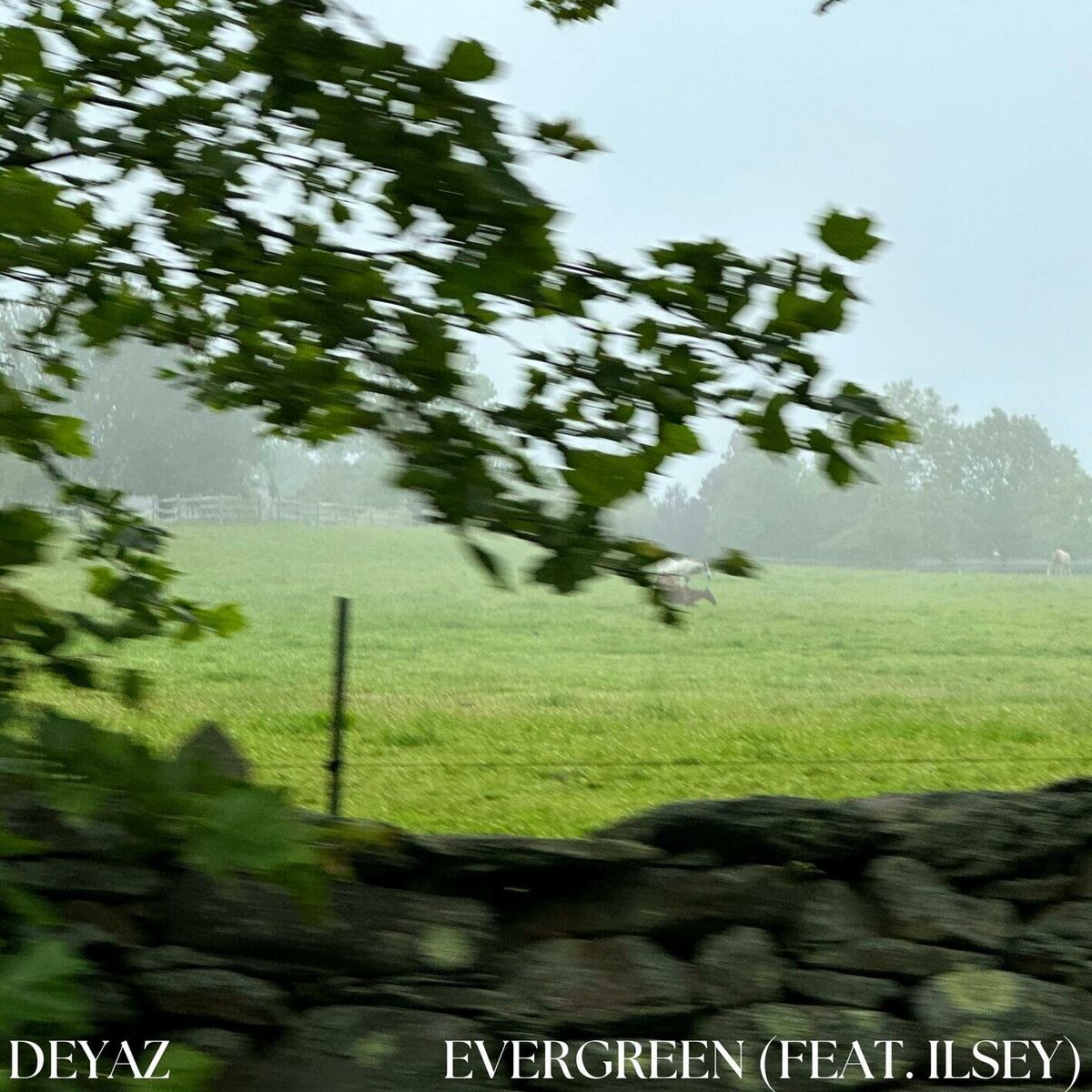 Album cover of Evergreen (feat. Ilsey)