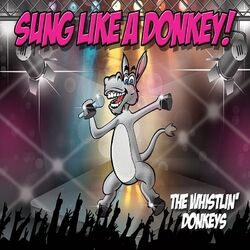 music cover