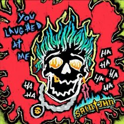 Cover of You Laughed at Me