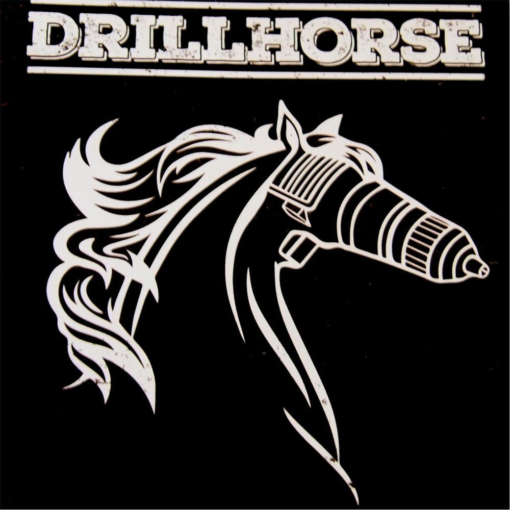 Album artwork for Karoshi by Drillhorse