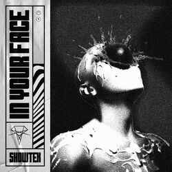Cover of IN YOUR FACE