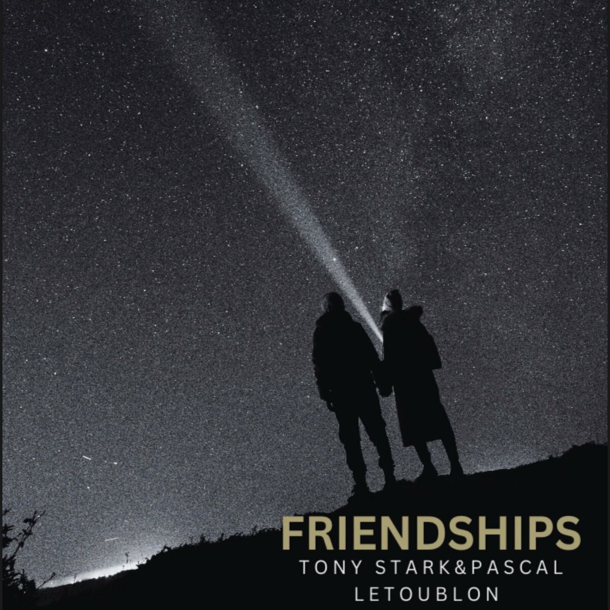 Album cover of Friendships (Tony Stark Remix)