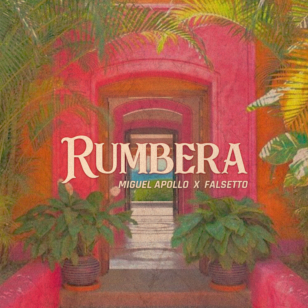 Picture of Rumbera