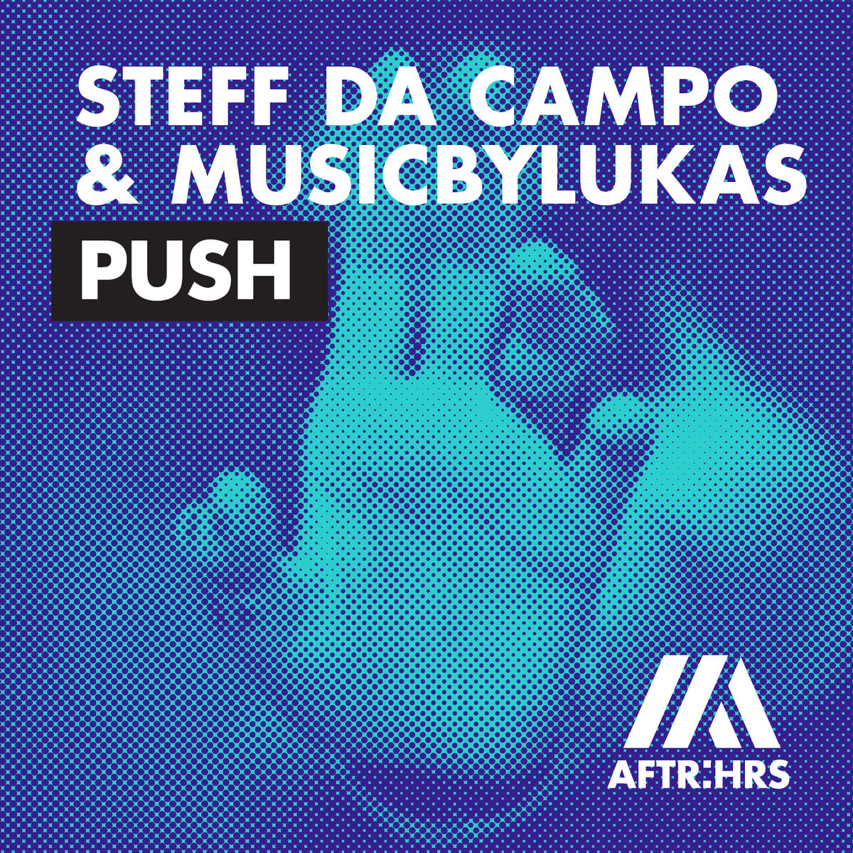 Album cover of Push