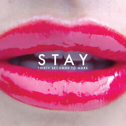 Cover of Stay