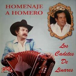 Cover of Homenaje A Homero