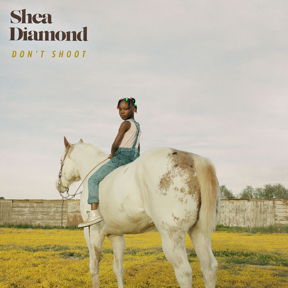 Picture of Don't Shoot