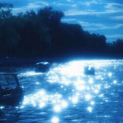 Cover of Midnight