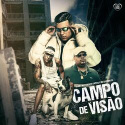 Cover of Campo de Visão