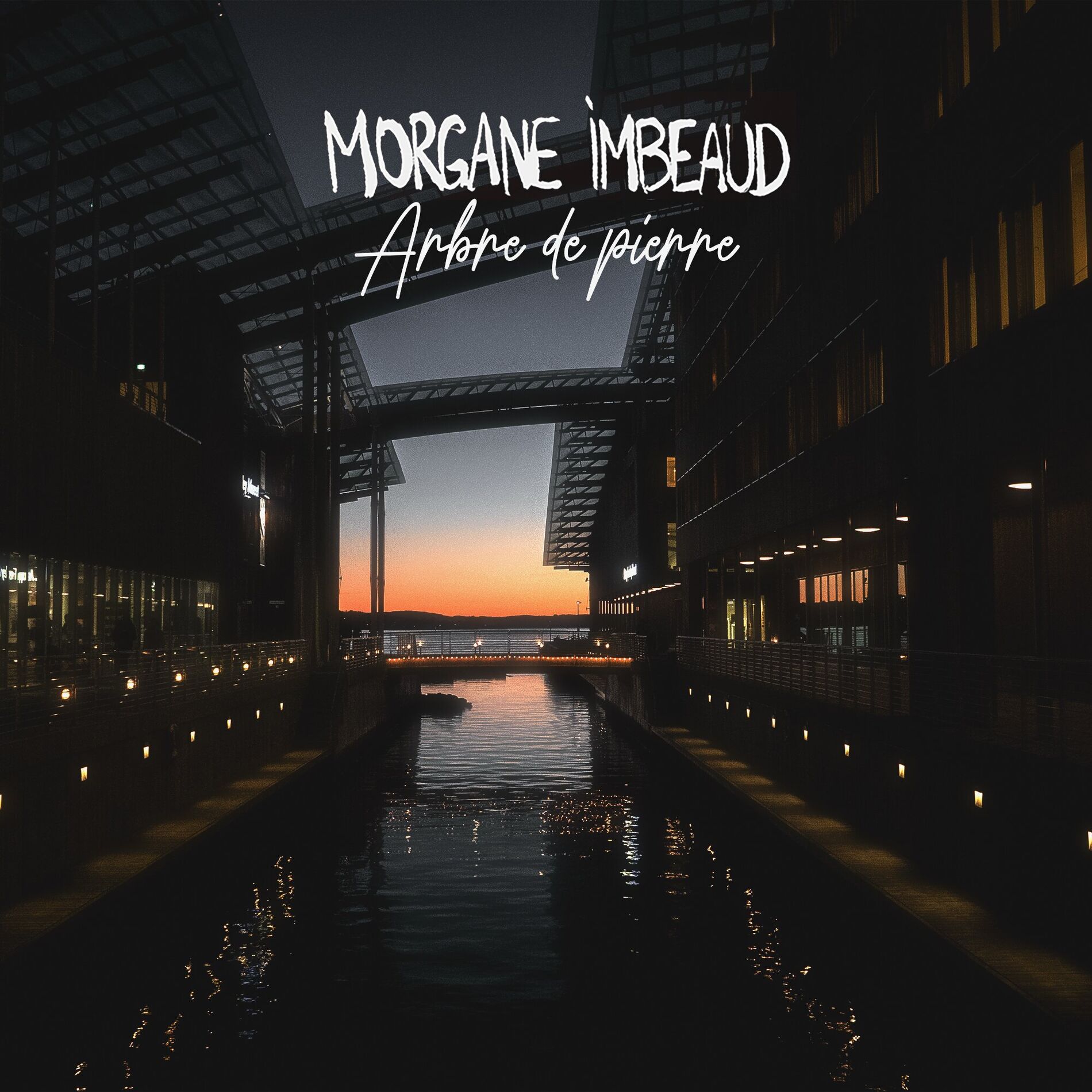 Album cover of Arbre de pierre