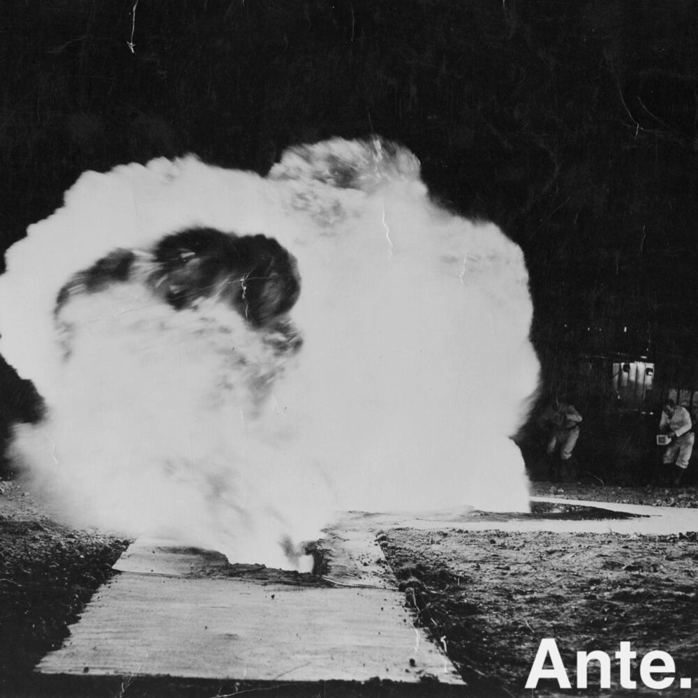 Picture of Ante.