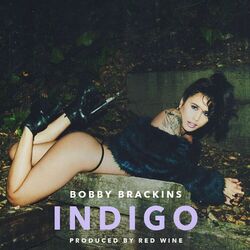 Cover of Indigo - Single