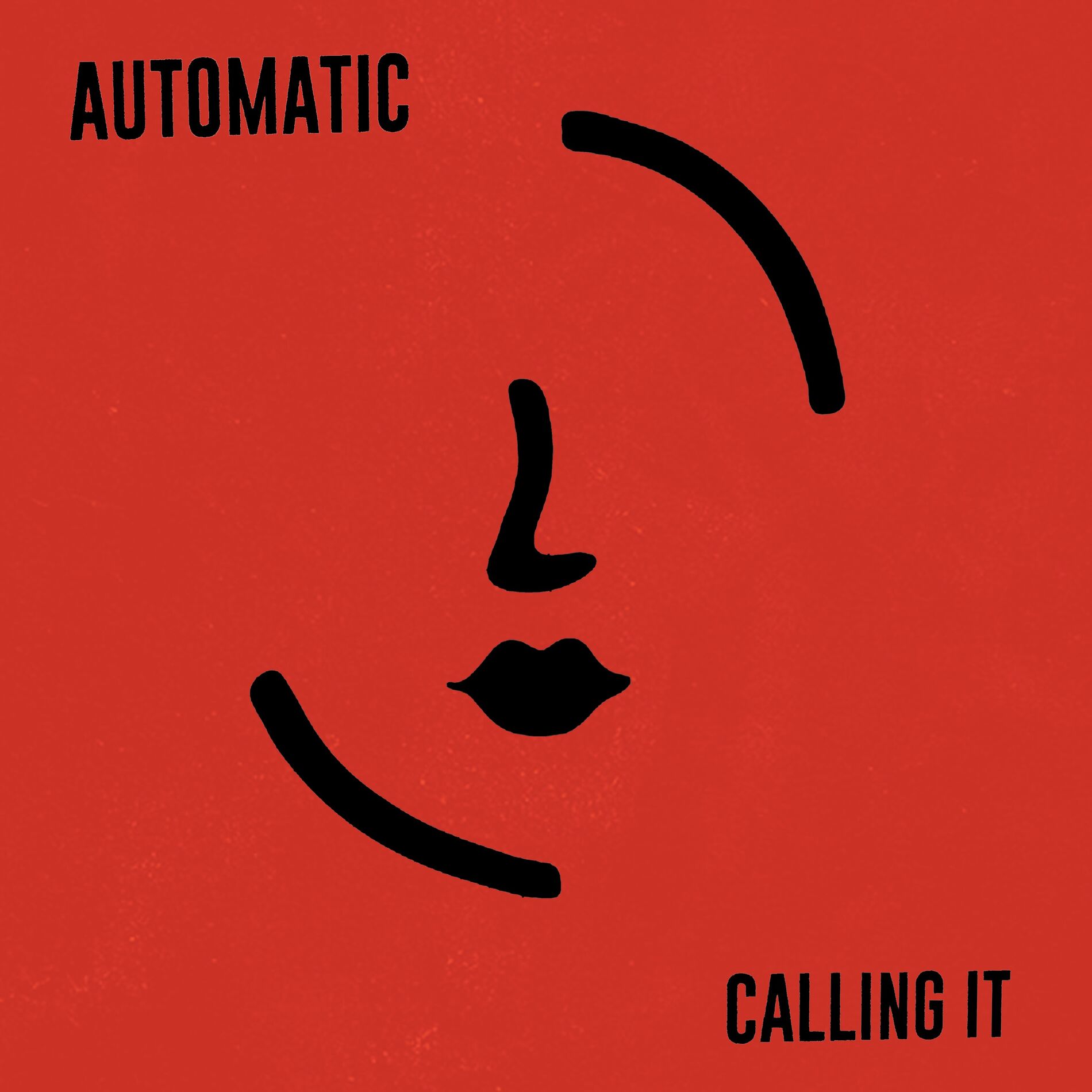Album cover of Calling It