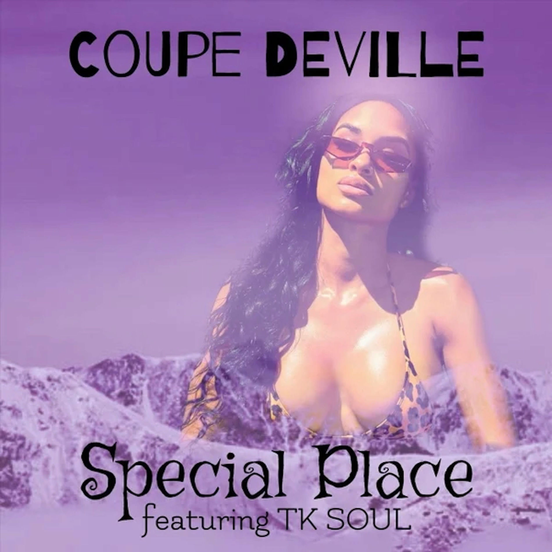 Album cover of Special Place