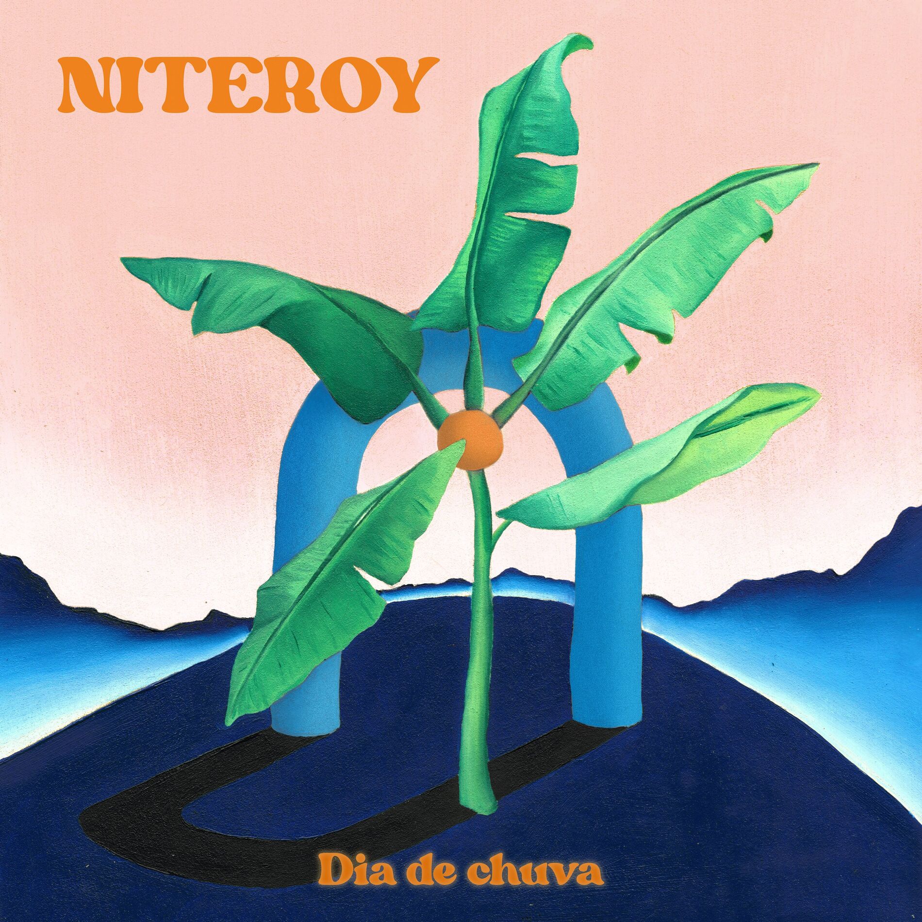 Album cover of Dia De Chuva