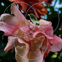 Cover of Ambition: Remixes 002
