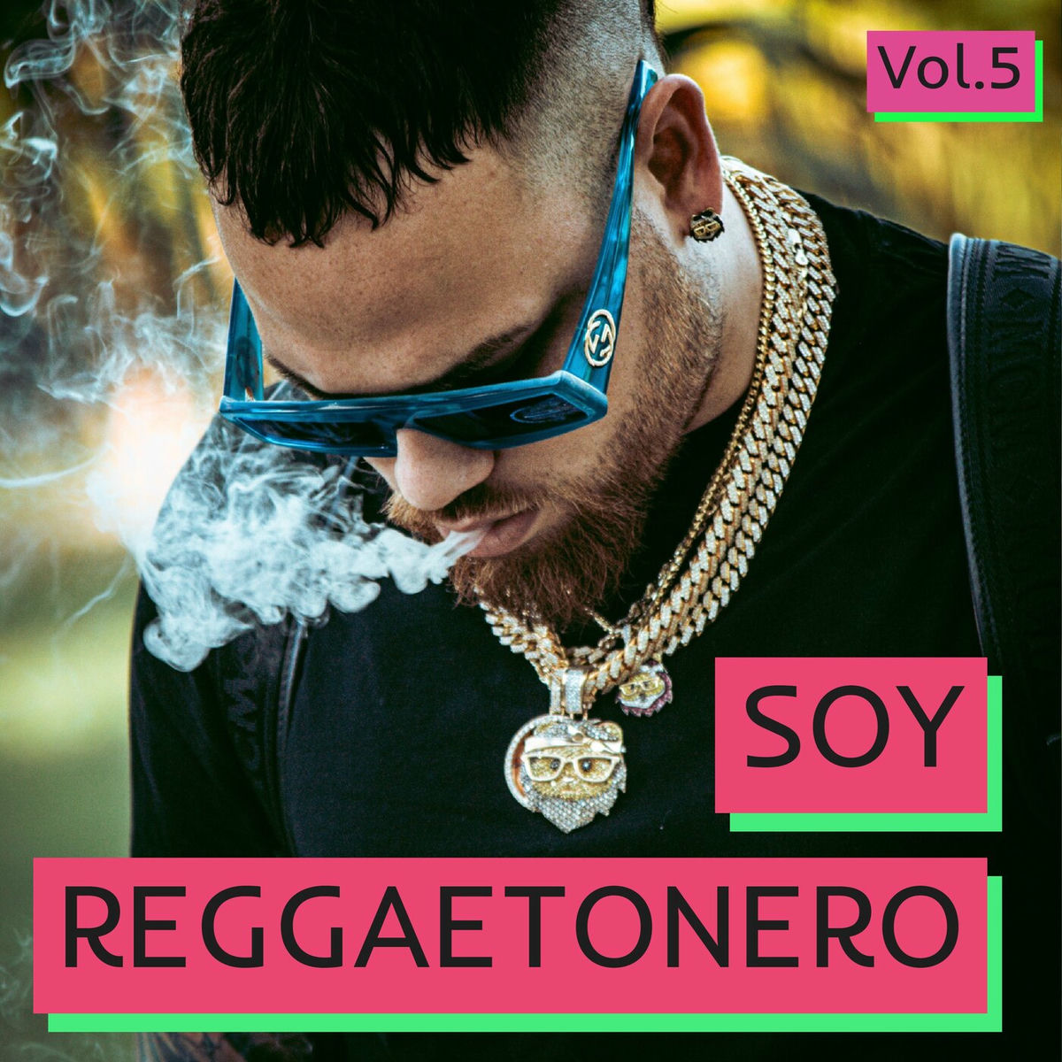 Album cover of Soy Reggaetonero Vol. 5
