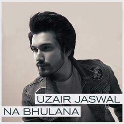 Cover of Na Bhulana