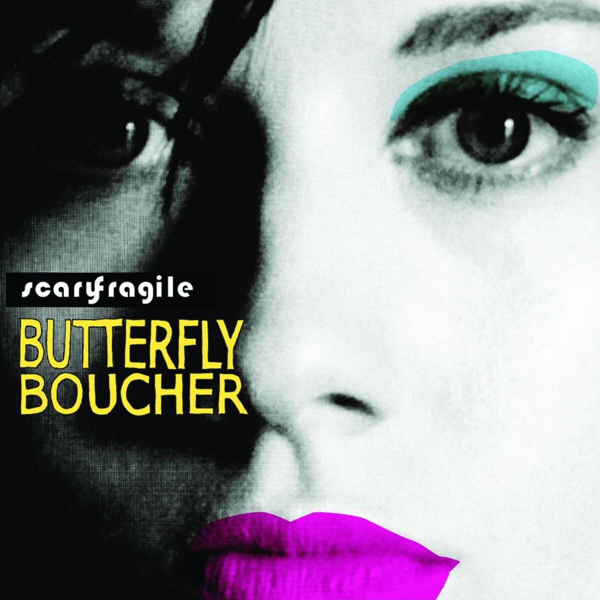 Album cover of Scary Fragile
