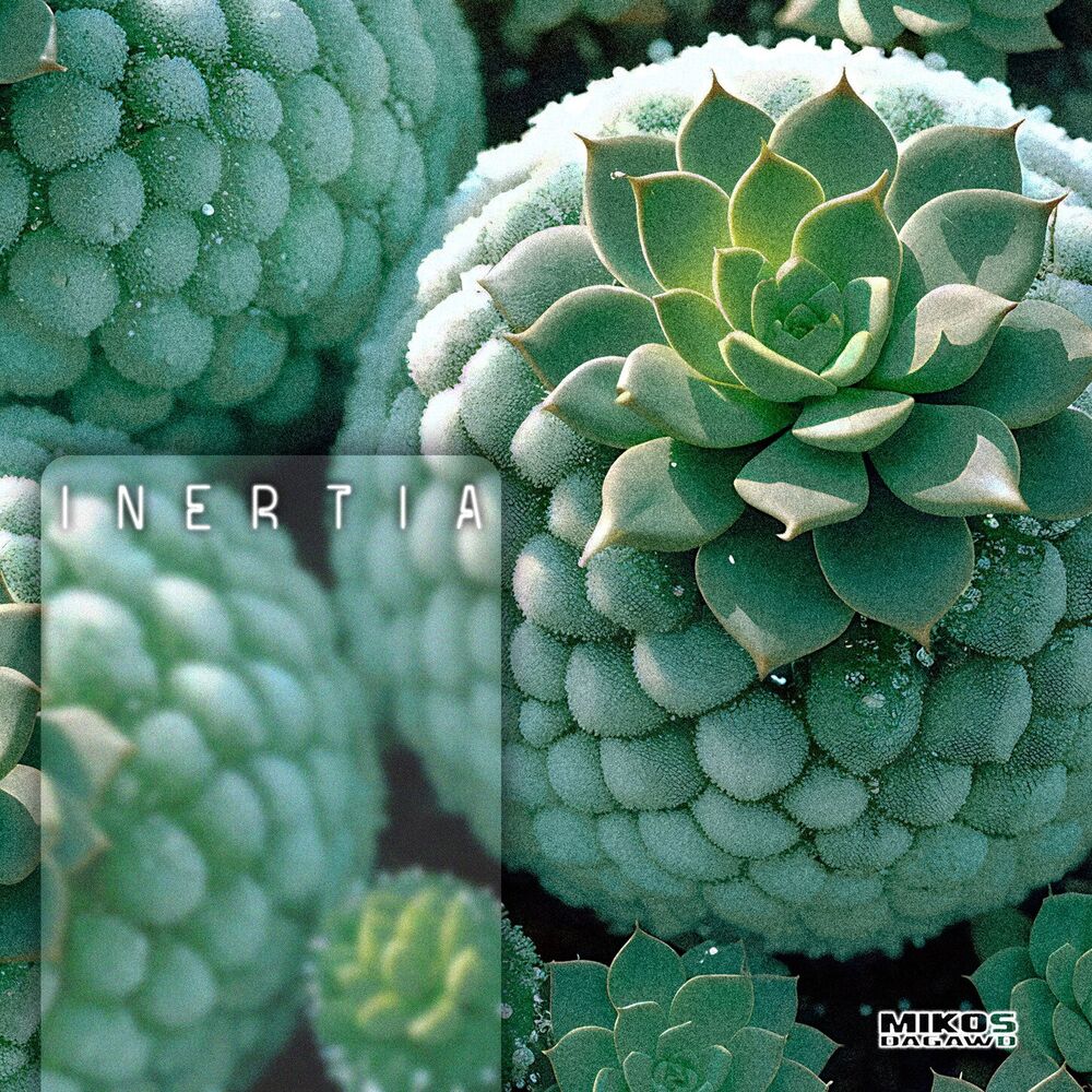 Picture of Inertia
