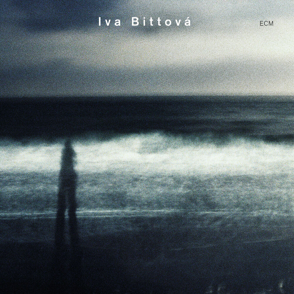 Picture of Iva Bittová