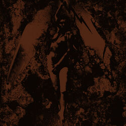 Cover of Converge / Napalm Death Split