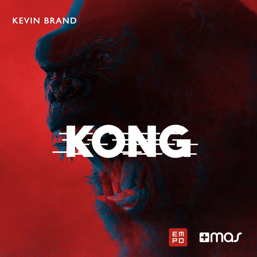 Picture of Kong