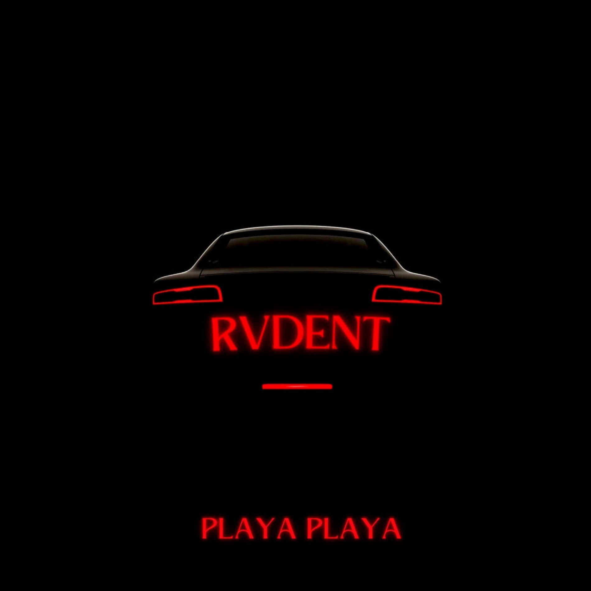 Album cover of PLAYA PLAYA