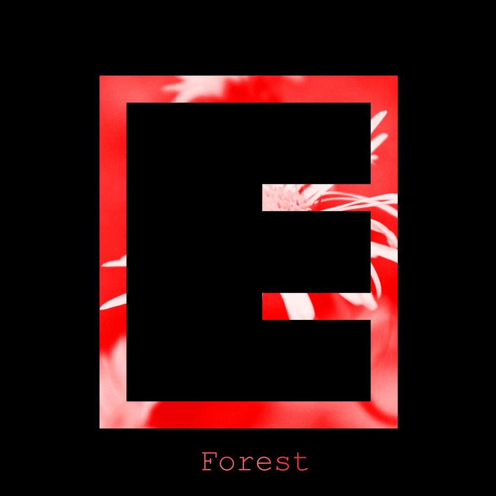 Picture of Forest