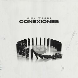 Cover of Conexiones