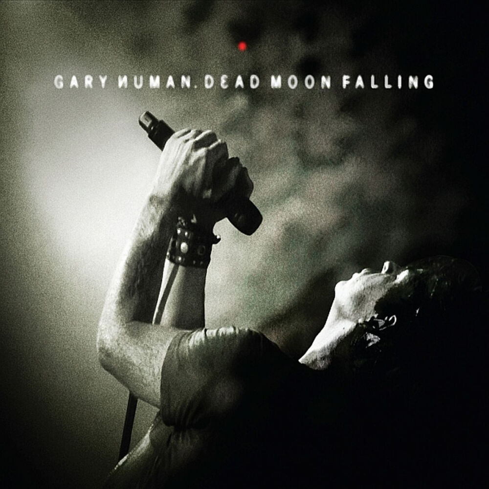 Picture of Dead Moon Falling