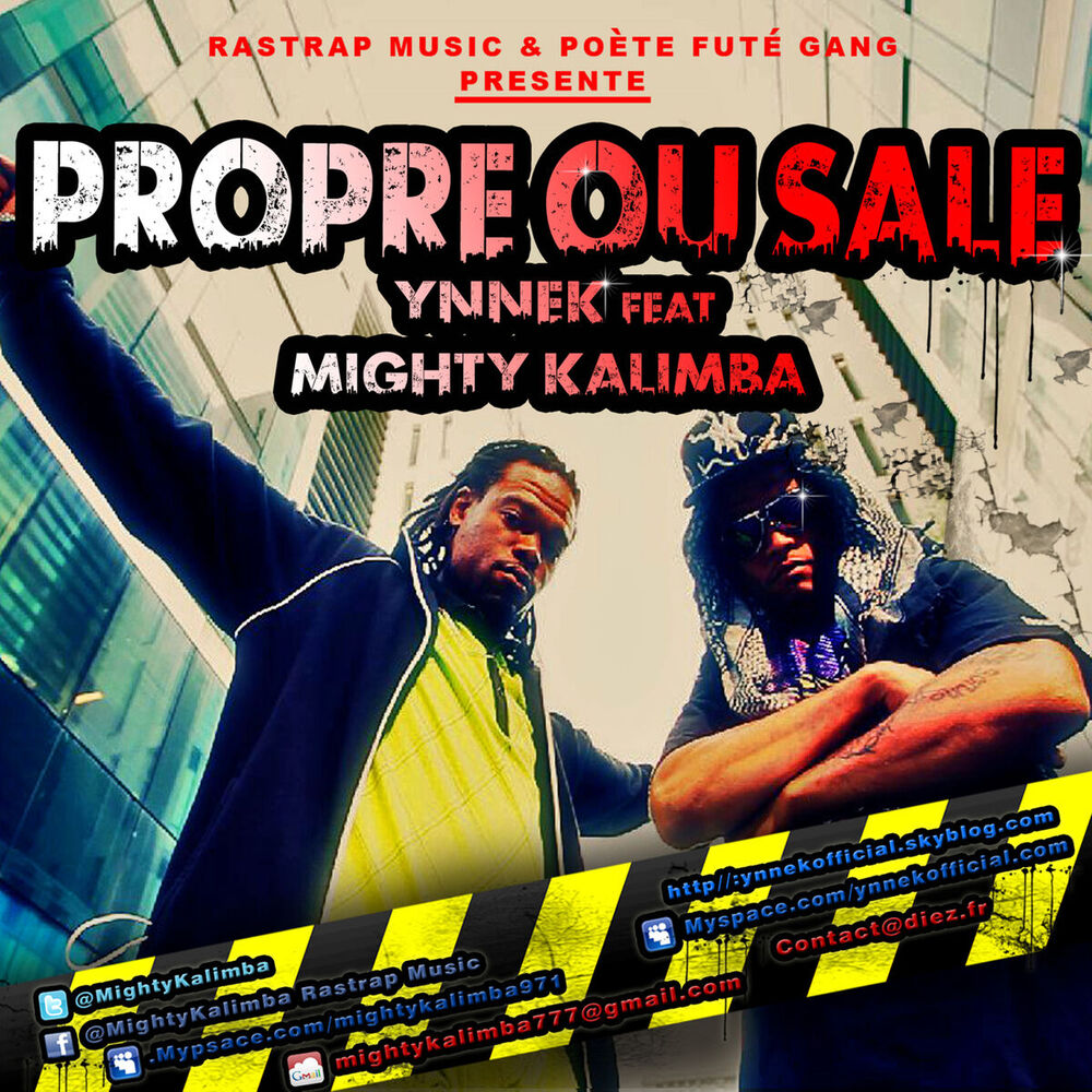 Picture of Propre Ou Sale (feat. Ynnek)