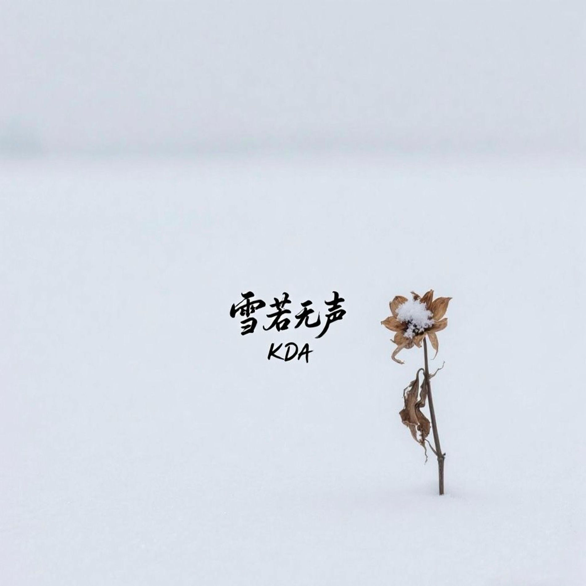 Album cover of 雪若无声