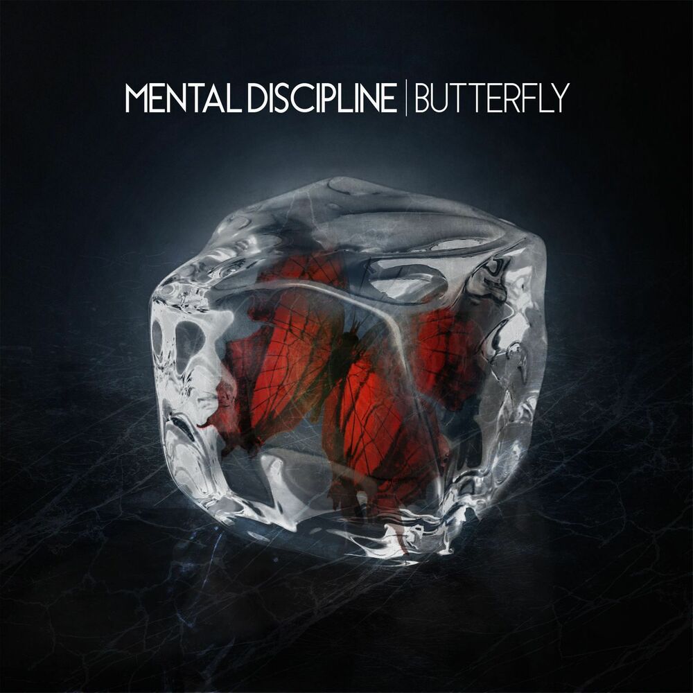 Picture of Butterfly